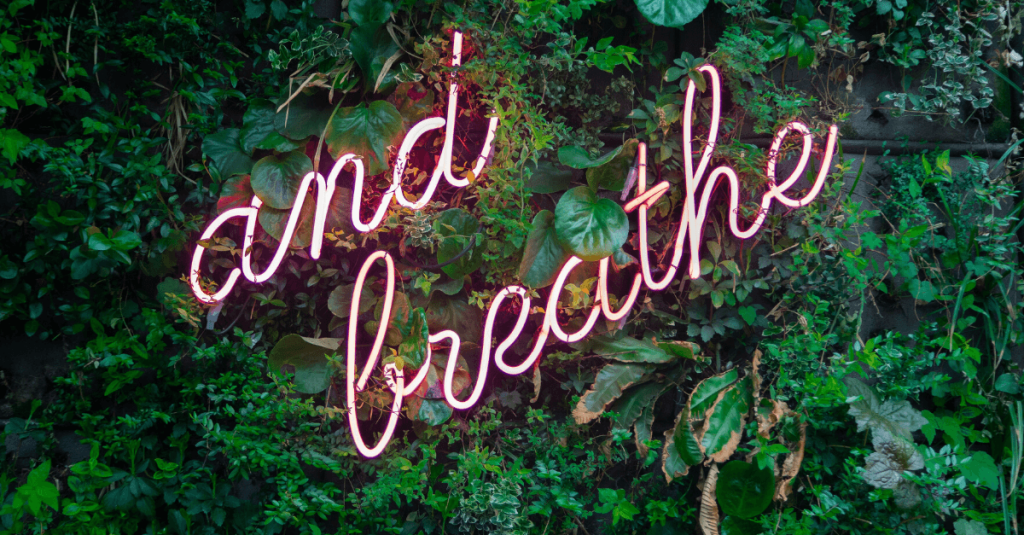 Image of a course picture, study guide, revision book, publication, icon or logo relating to an awarding body like NEBOSH, shown on the ACT Associates website.