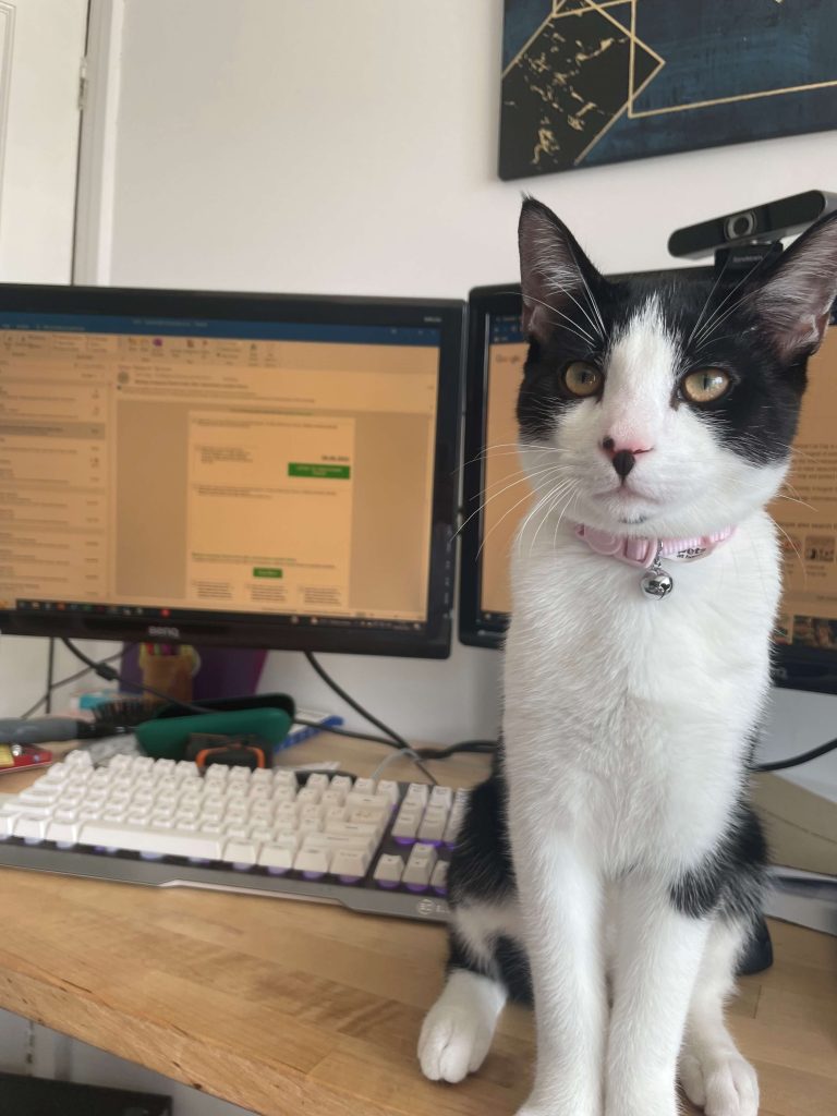 Image of a course picture, study guide, revision book, publication, icon or logo relating to an awarding body like NEBOSH, shown on the ACT Associates website.