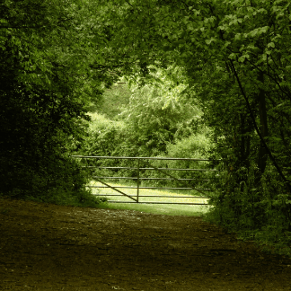 Image of a course picture, study guide, revision book, publication, icon or logo relating to an awarding body like NEBOSH, shown on the ACT Associates website.