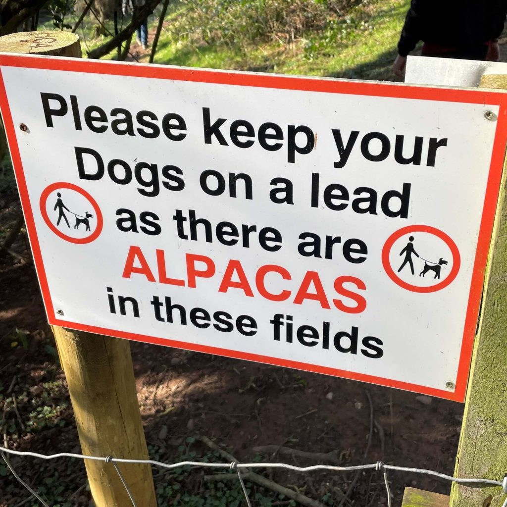 Image of a course picture, study guide, revision book, publication, icon or logo relating to an awarding body like NEBOSH, shown on the ACT Associates website.